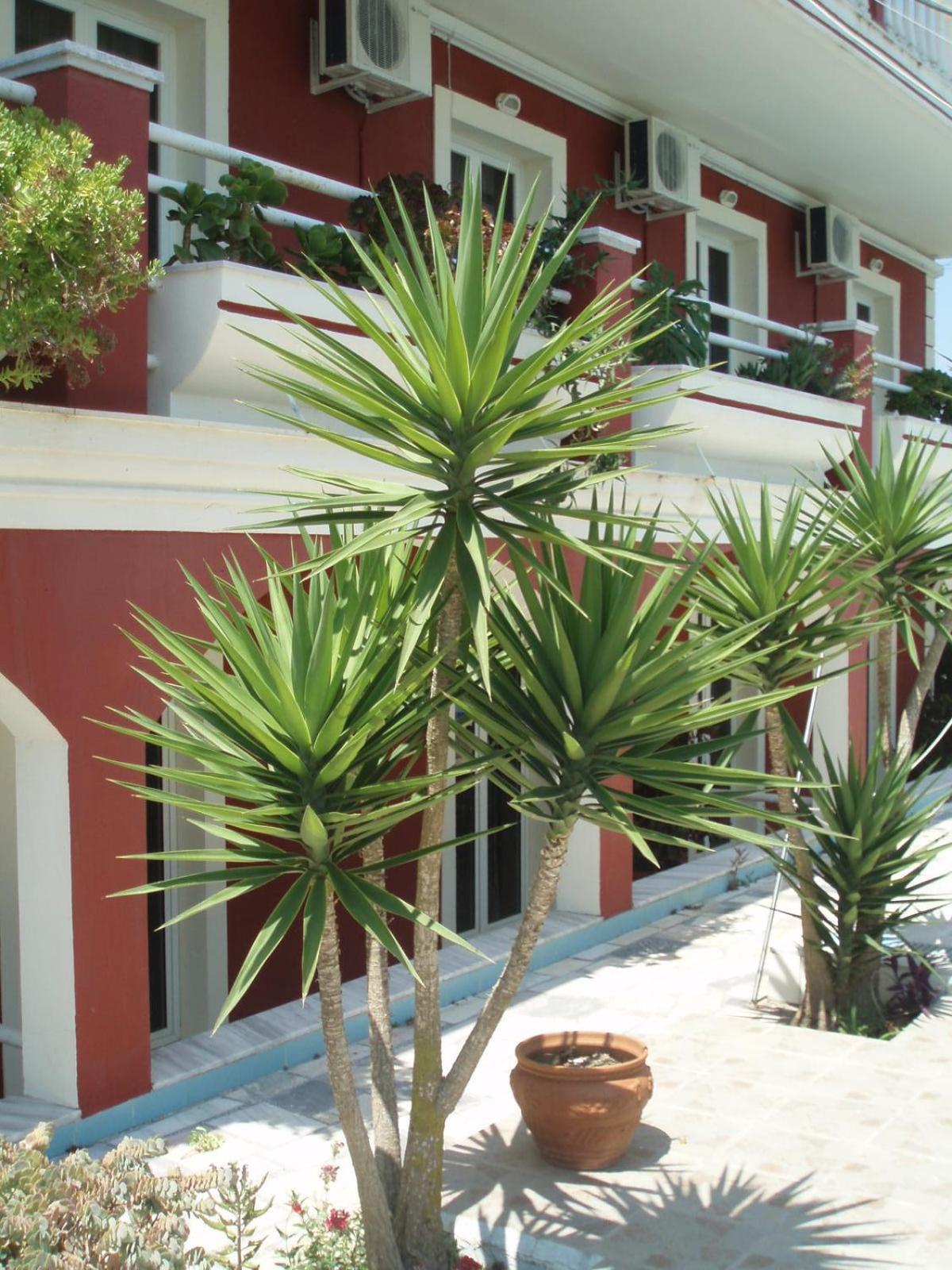 Crystal Apartment Kávos Exterior photo